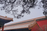 幻龙帝国：中国古代神秘的王国